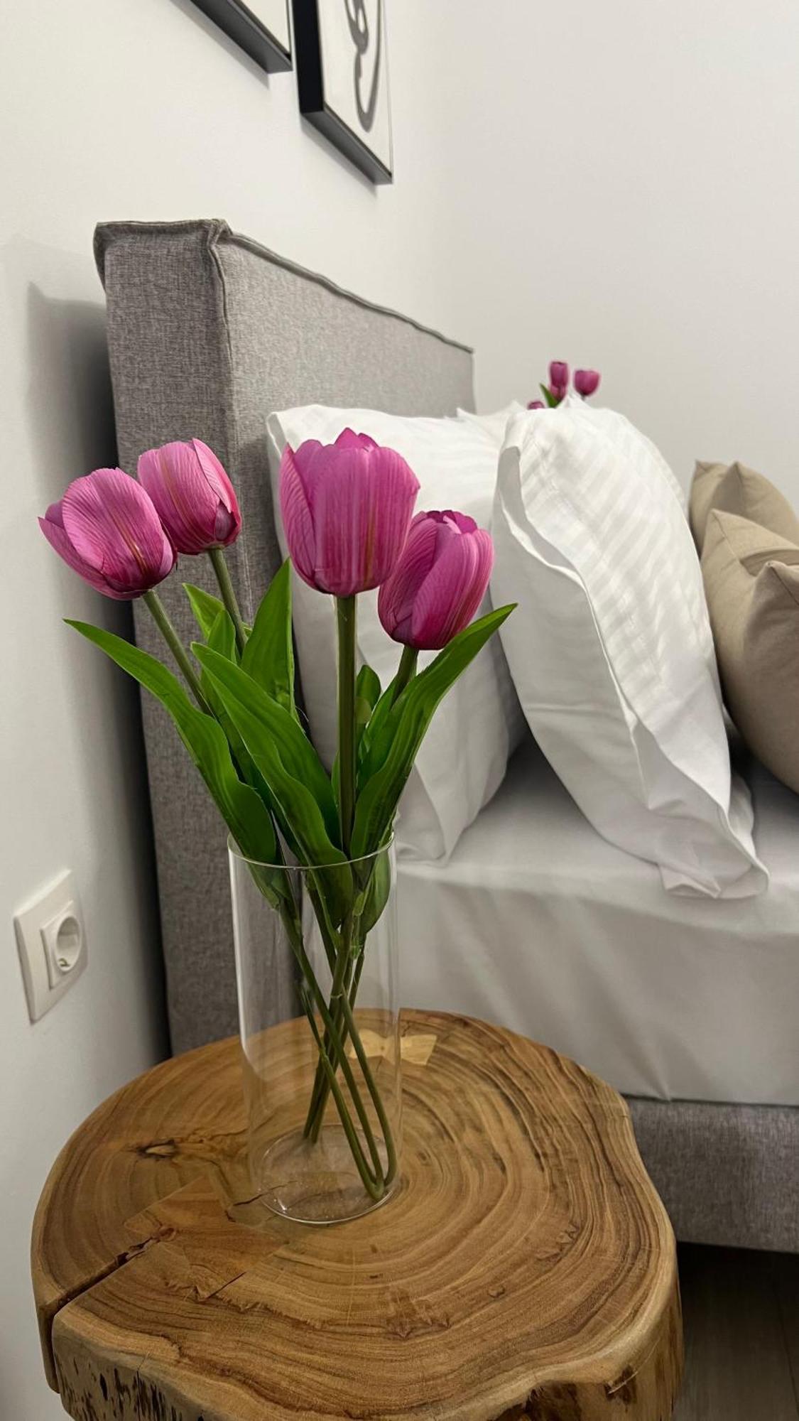 Sias Apartment Alexandroúpolis Ngoại thất bức ảnh